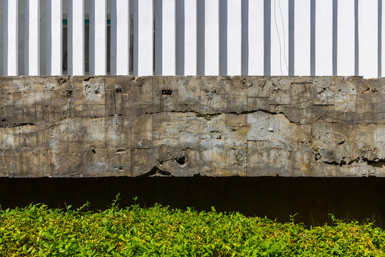 Abstract architectural texture with green foliage and white pillars