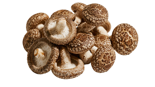 Pile of dried shiitake mushrooms with textured brown caps, isolated on transparent background
