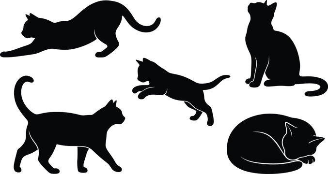 Set of five black cat silhouettes in various poses including stretching, sitting, walking, jumping, and sleeping on a white background