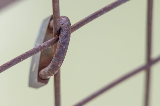 Rusty padlock securing metal fence bars