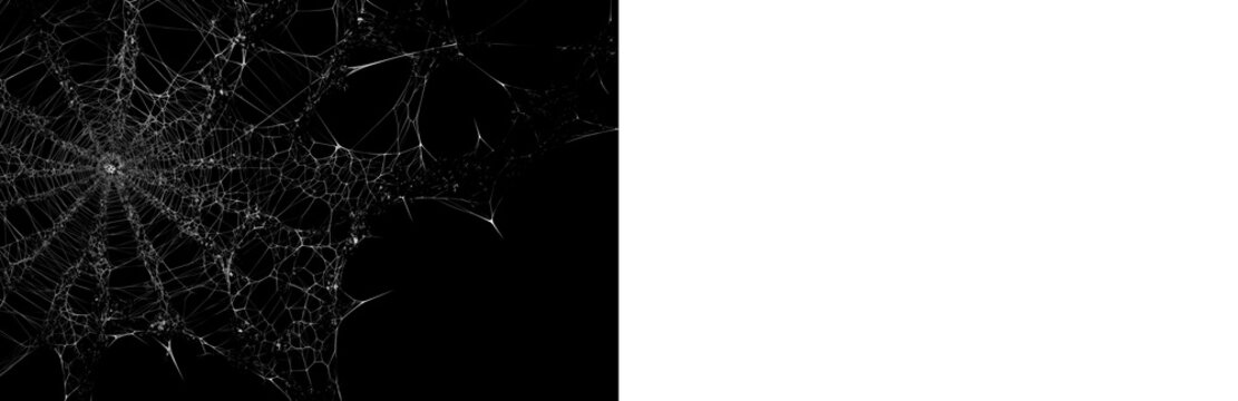 Realistic web texture with black preview and transparent background version, ideal for overlays, Halloween decoration, eerie graphics and digital editing.