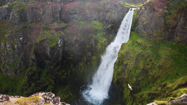 Large waterfall, Glj&uacute;furs&aacute;rfoss, dropping over a cliff in the East Fjords of Iceland