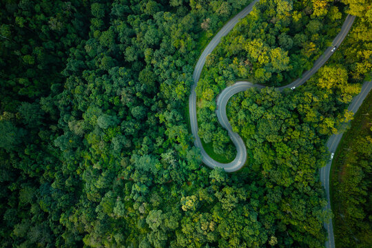 Aerial view of a winding road through a lush green forest with a driving car.