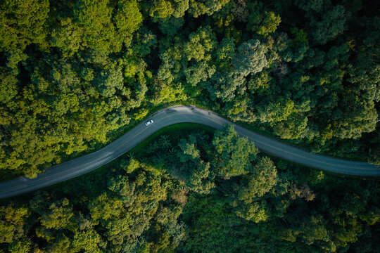 Aerial view of a winding road through a lush green forest with a driving car.