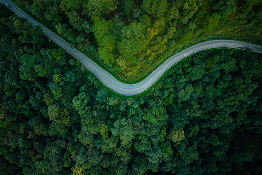 Aerial view of a winding road through a lush green forest with a driving car.