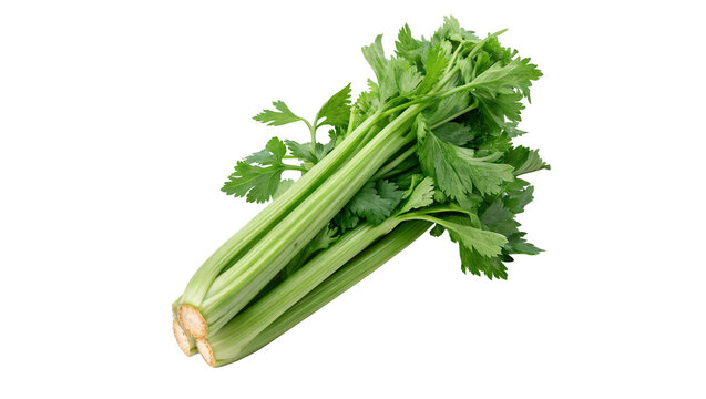 Fresh green organic celery stalks bundle with rich leaves isolated on transparent background
