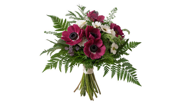 Beautiful dark red anemone flower bouquet with fern leaves isolated on transparent background