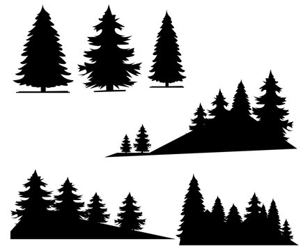 Black conifer tree silhouettes set, isolated pine shapes, vector graphic elements, clip art for design, nature illustration, evergreen forest outline, woodcraft stencil