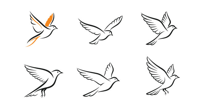 Collection of six minimalist line art sketches showing small birds in various flying and flapping wing positions.