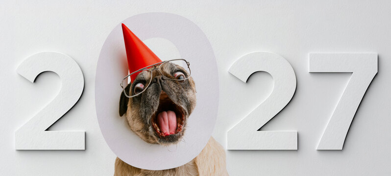 happy new year, new year's eve party, celebration greeting card with text - Funny pug dog with party hat, glasses and year 2027, isolated on white background