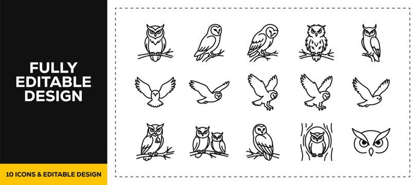 flat vector illustration line art icon bundle set design focused on nocturnal owls wild owlets flying forest birds and wilderness wildlife outline designs