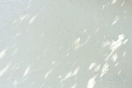 Abstract leaf shadow on cement wall background, Background with drop shadow and light effect
