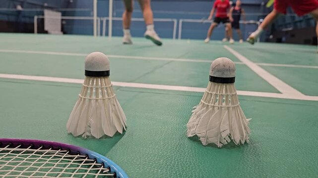 Badminton shuttlecocks lie near a racket on a green court. Players move in the background, blurred. The scene captures a quiet moment during a match