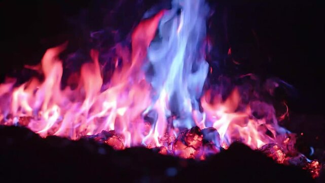 Macro Close Up of Colorful Pink Blue and Purple Fire Flames Burning with Sparks