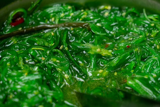 Close-Up View of Vibrant Green Wakame Seaweed Salad Garnished with Sesame Seeds, Offering Healthy and Delicious Japanese Culinary Delicacy Perfect for Nutritious Dining