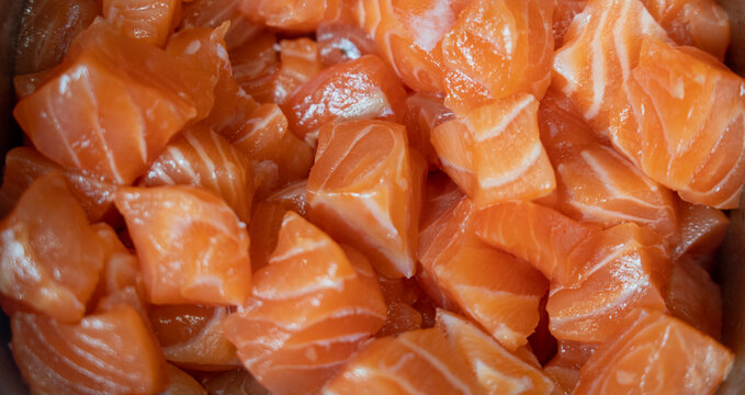 Fresh Raw Salmon Fillet Cubes Close Up Macro View Showing Vibrant Orange Texture and White Fat Marbling Perfect for Sushi Sashimi Poke Bowls and Healthy Seafood Culinary Preparation