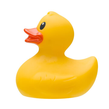 Yellow Rubber Duck Profile View on white Background