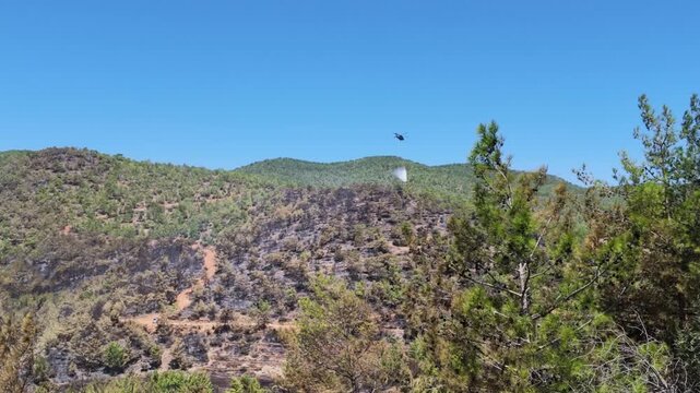Firefighting helicopter drops water on a burning forest. Aerial wildfire control drops water to extinguish wild fire in green mountains. Forest fire defense actions during hot dry summer.