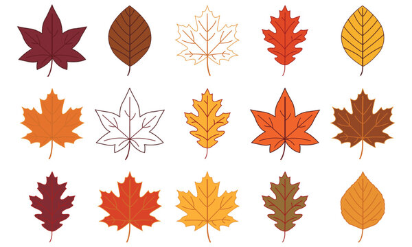 Collection of colorful autumn leaves, flat vector illustration