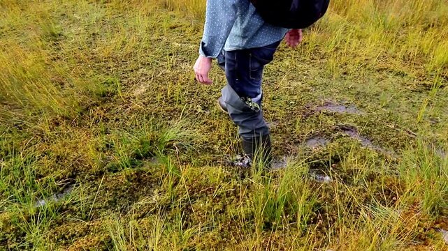 Man walks carefully through a wet swamp and suddenly sinks into deep water, showing the danger and difficulty of crossing wild marshland terrain.
