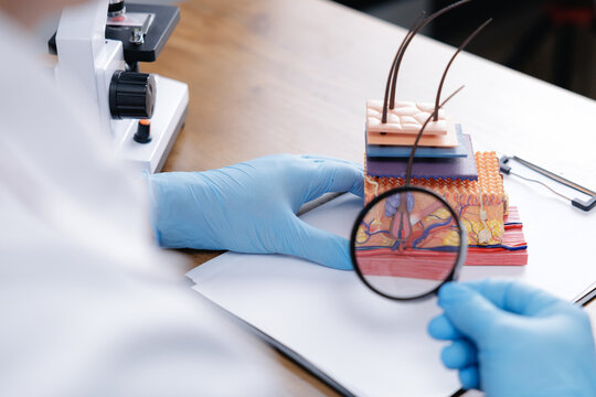 Close-up anatomical hair model with magnifying glass and gloved hands for medical education poster and dermatology background