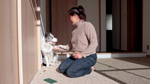 Woman training a border collie dog to give a paw