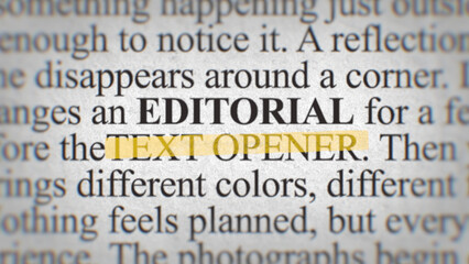 Editorial Text Opener