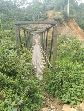 Flora and Fauna in Chitlang Valley
