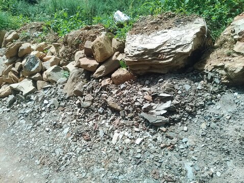 Flora and Fauna in Chitlang Valley