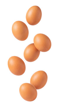 Brown chicken eggs falling isolated on transparent background