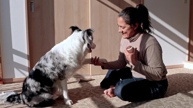 Woman teaching her border collie to shake hands