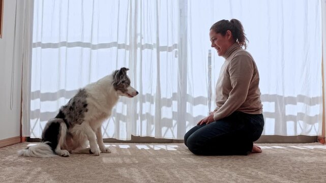 Woman petting and training her border collie at home