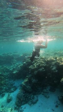 Woman freediving from surface and playfully somersaulting underwater above tropical coral reef, enjoying freedom of movement in the sea, vertical video