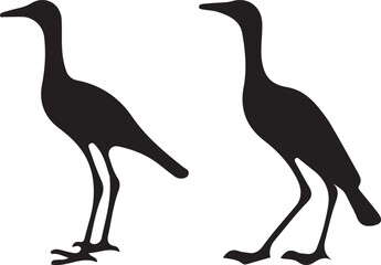 Naklejka premium silhouettes of birds