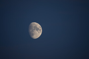 Waxing gibbous moon in a clear blue sky with copy space © Paul V.