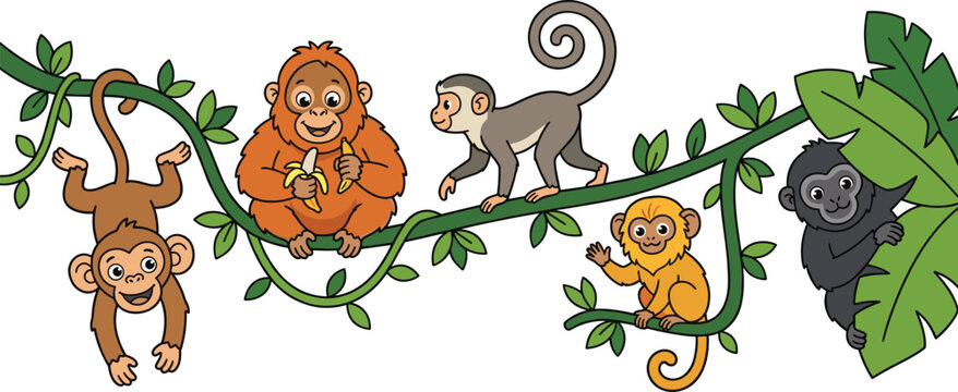Cute Jungle Monkey Vector Character Set Featuring Playful Chimpanzee Orangutan Eating Banana Spider Monkey Golden Tamarin and Chimp Hiding Behind Leaves