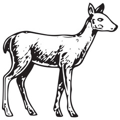 Fototapeta premium Alert Deer Wildlife Illustration for Forest, Hunting and Nature Design