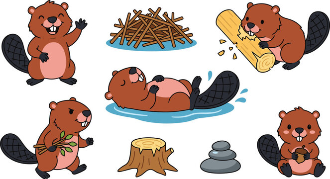 Cute cartoon beaver character vector illustration set building dam chewing wood floating and holding acorn.