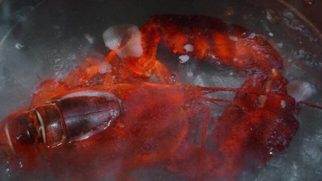 Cooked lobster submerged in bubbling water. Close up view highlights white foam around a red crustacean in a hot pan.