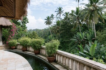 Naklejka premium The Tropical Balcony Overlooking Lush Terrace Pool and Verdant Jungle Vista