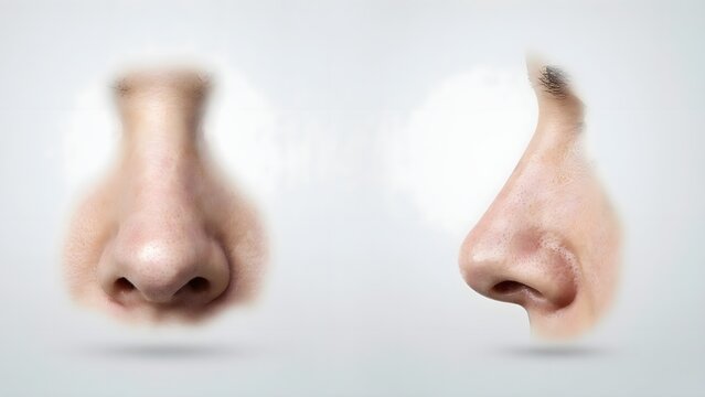 Realistic Human nose 3D  illustration isolated on white