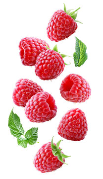 Whole raspberries shown from different sides floating among small green leaves in a vertical arrangement isolated on transparent background.