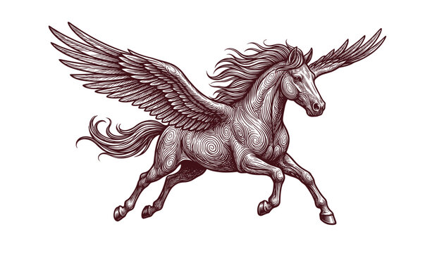 Vintage Flying Pegasus Engraving Illustration with Detailed Wings, Mane, and Mythological Fantasy Line Art Design