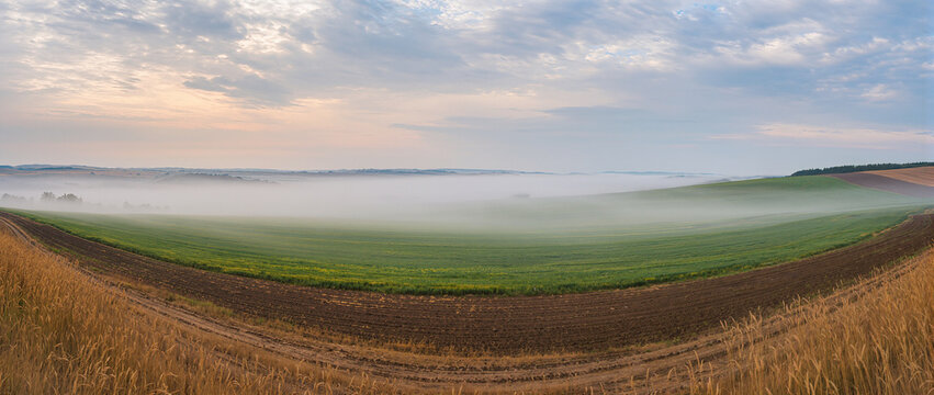 Panoramic landscape of rolling fields divided by mist. Green and brown agricultural hills with low fog at dawn
