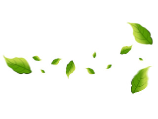 Obraz premium Flying Green Leaves Floating