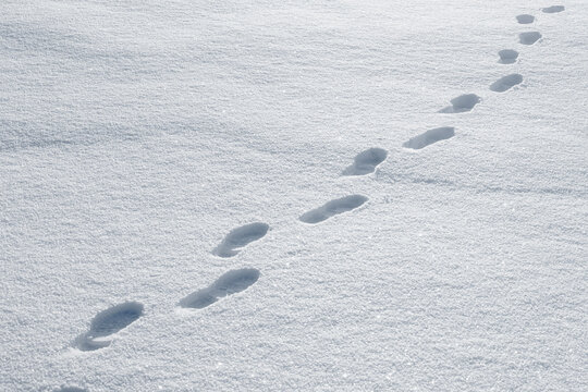 Footprints in snow leading forward, winter journey concept