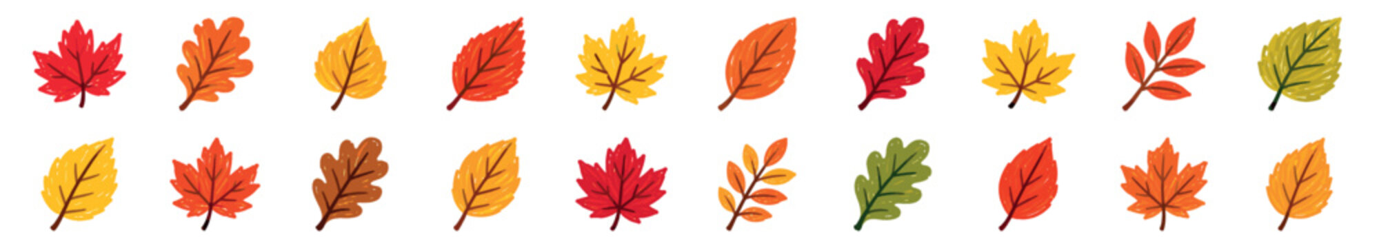 Colorful collection of hand-drawn autumn leaves in a charming crayon style, featuring various types like maple and oak in warm red, orange, and yellow hues for seasonal design