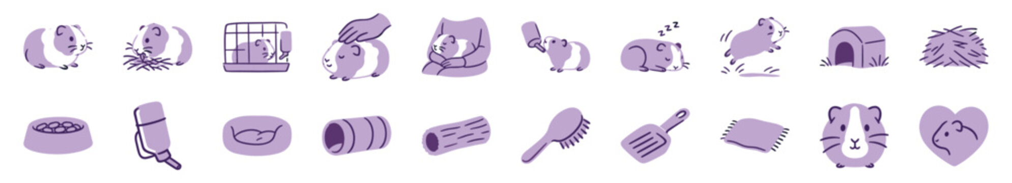 Set of cute guinea pig care icons showing pet ownership activities like feeding, grooming, and playing, with accessories like a cage, tunnel, and hay in a simple purple illustration style