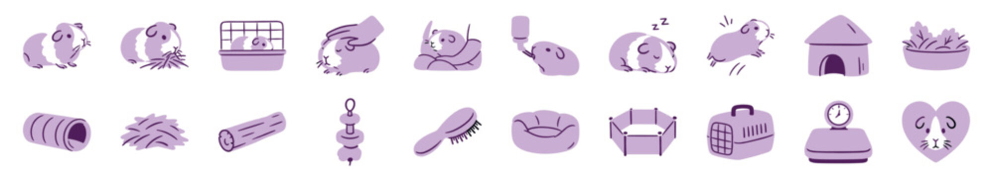 Large collection of cute guinea pig icons showing pet care activities and accessories like eating, sleeping, playing, and grooming in a charming purple two-tone illustration style