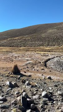 Riacho de &aacute;gua avermelhada rica em minerais fluindo no Altiplano boliviano. V&iacute;deo vertical de paisagem &aacute;rida de montanha sob c&eacute;u azul.